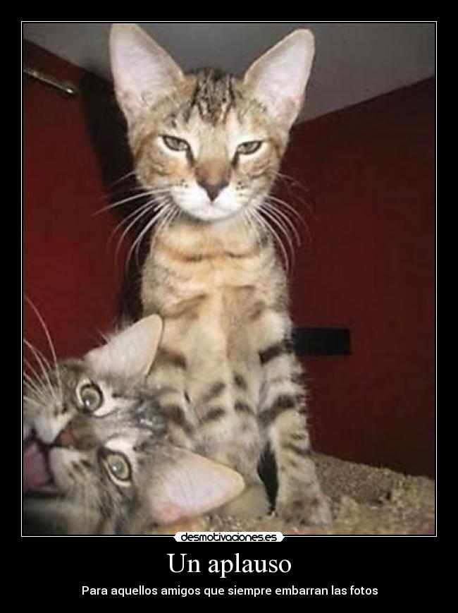 Un aplauso - Para aquellos amigos que siempre embarran las fotos