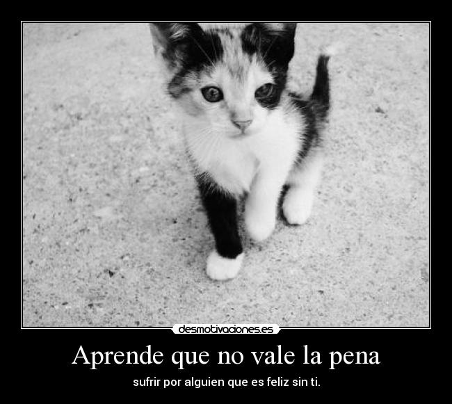 Aprende que no vale la pena - sufrir por alguien que es feliz sin ti.