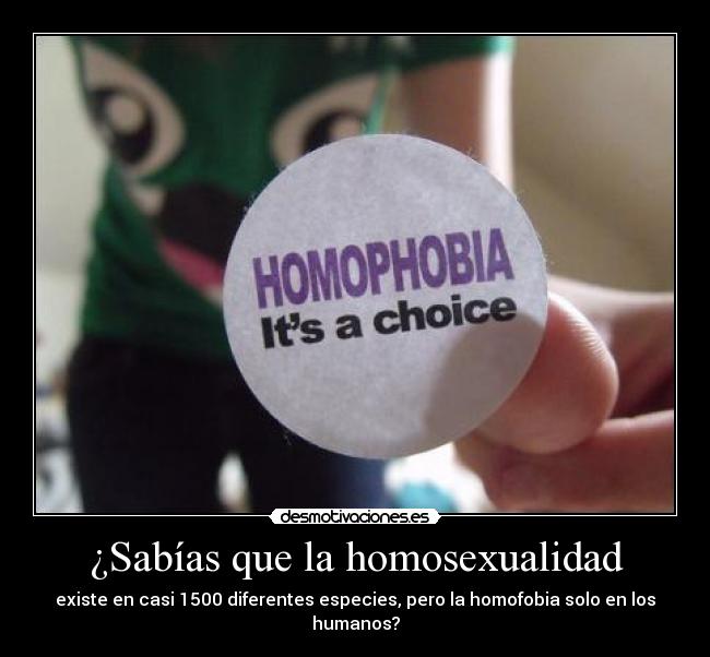 ¿Sabías que la homosexualidad - 