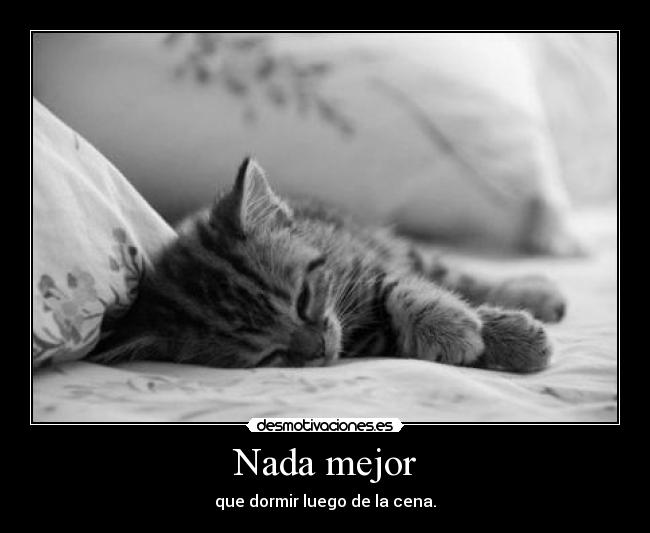 Nada mejor - que dormir luego de la cena.