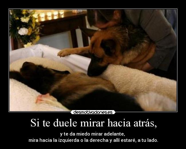 Si te duele mirar hacia atrás, - y te da miedo mirar adelante,
mira hacia la izquierda o la derecha y allí estaré, a tu lado.