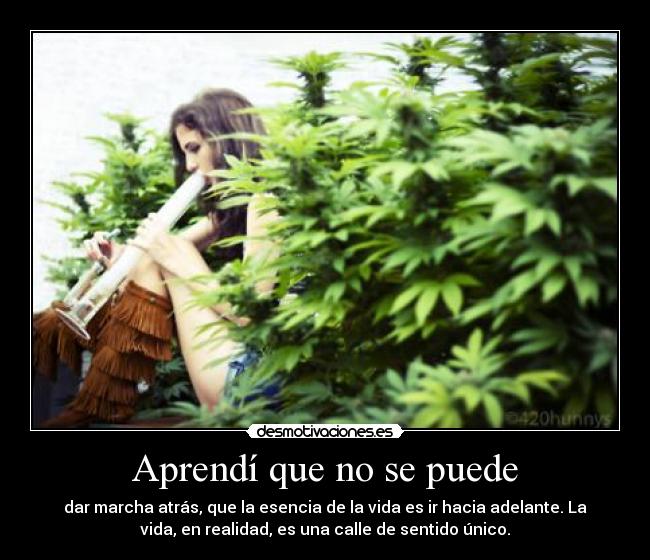 Aprendí que no se puede - dar marcha atrás, que la esencia de la vida es ir hacia adelante. La
vida, en realidad, es una calle de sentido único.