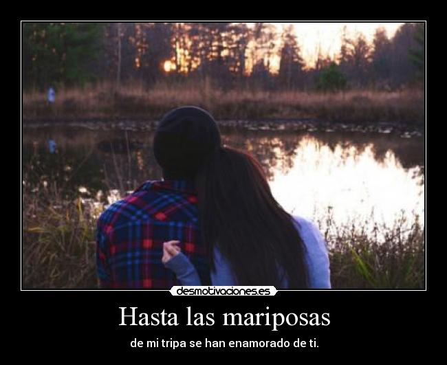 Hasta las mariposas - 