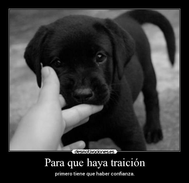 Para que haya traición - primero tiene que haber confianza.