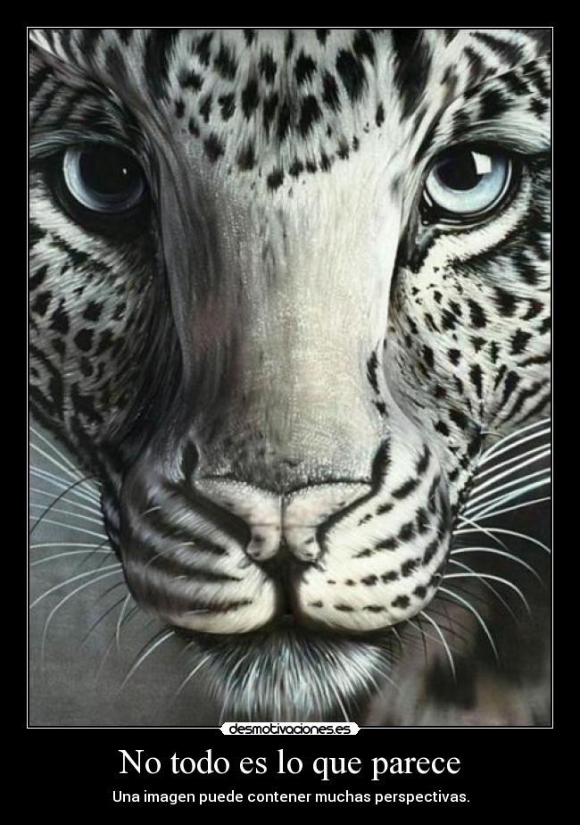 No todo es lo que parece - Una imagen puede contener muchas perspectivas.
