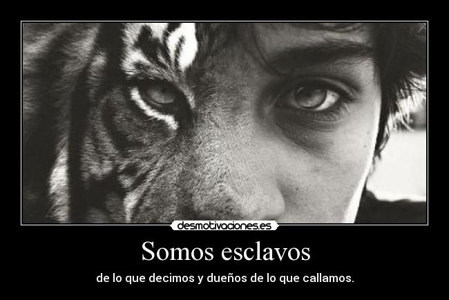 carteles siipiiacarme lyta fermin rules seguramente ultimo cartel desmotivaciones