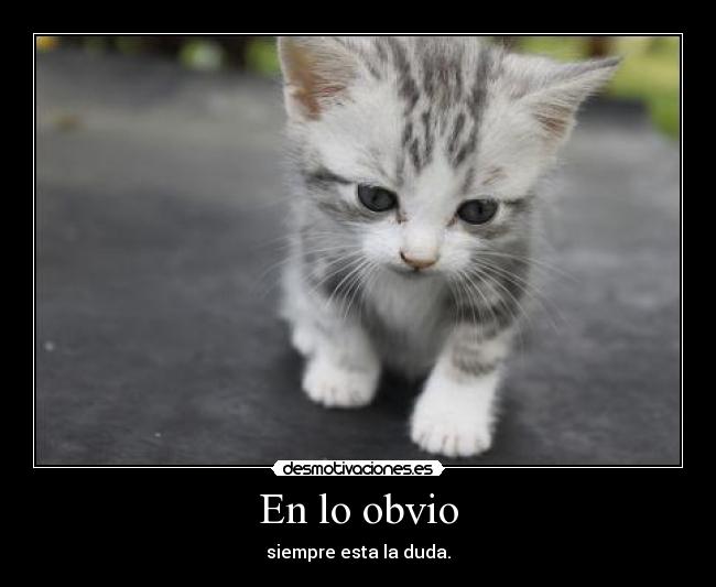 En lo obvio - siempre esta la duda.