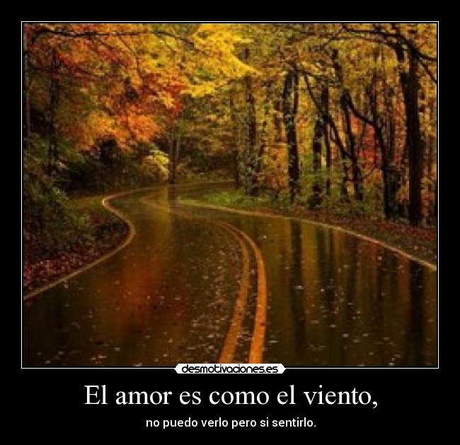 El amor es como el viento, - no puedo verlo pero si sentirlo.