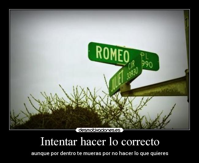 Intentar hacer lo correcto -