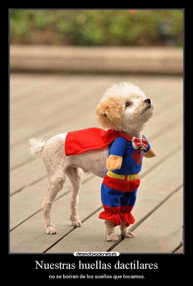 Nuestras huellas dactilares - no se borran de los sueños que tocamos.