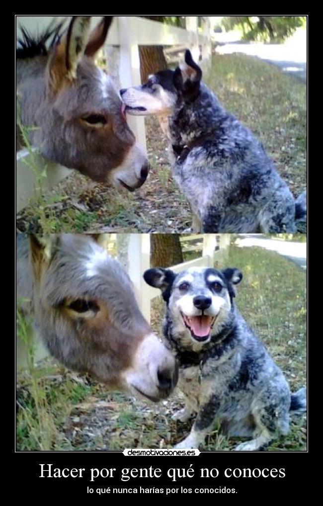 Hacer por gente qué no conoces -