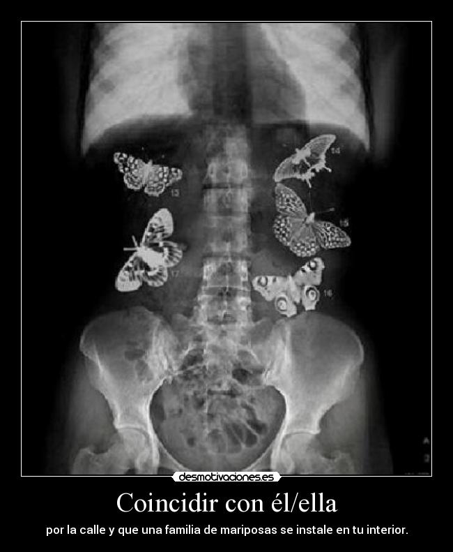 Coincidir con él/ella - por la calle y que una familia de mariposas se instale en tu interior.