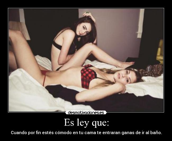 Es ley que: - Cuando por fin estés cómodo en tu cama te entraran ganas de ir al baño.