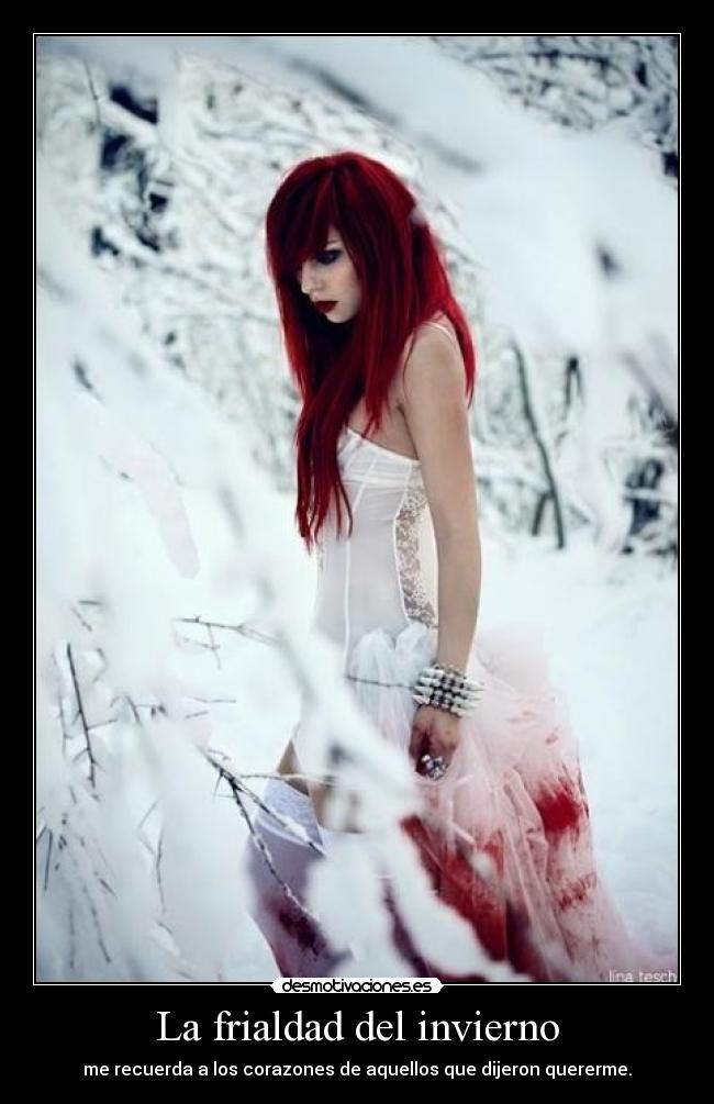 La frialdad del invierno -