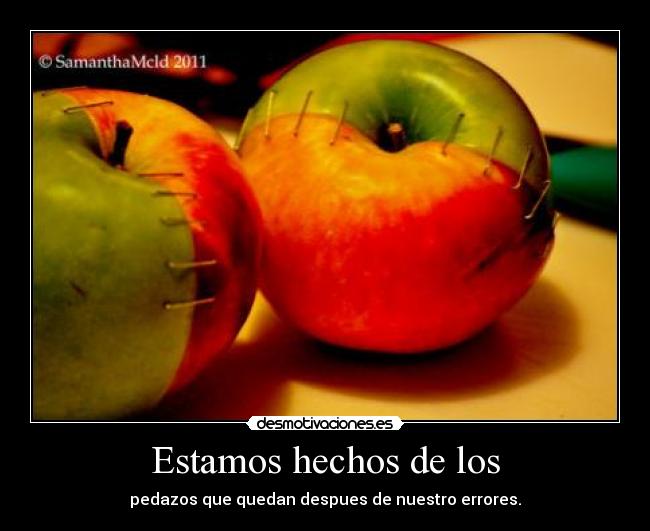 Estamos hechos de los - 