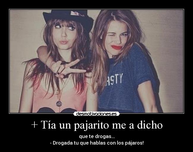 + Tía un pajarito me a dicho - que te drogas...
- Drogada tu que hablas con los pájaros!