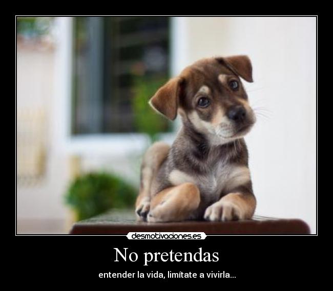 No pretendas - 