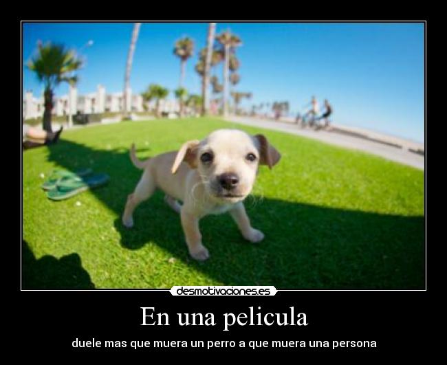 En una pelicula - 
