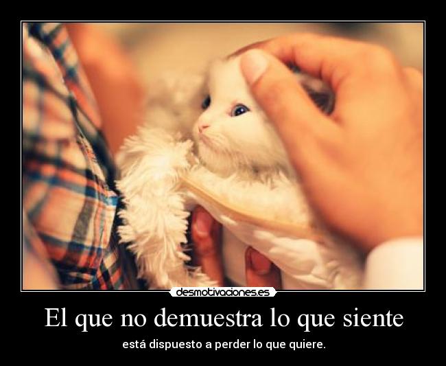 El que no demuestra lo que siente - está dispuesto a perder lo que quiere.