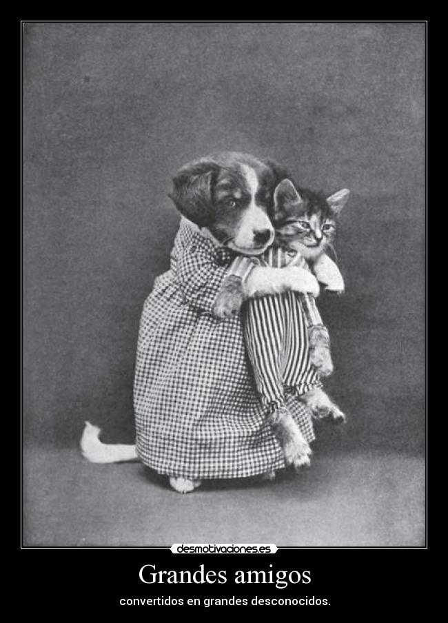 Grandes amigos -