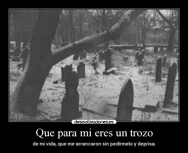 Que para mi eres un trozo -