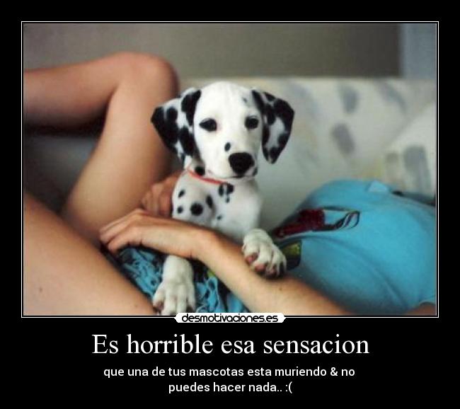 Es horrible esa sensacion - que una de tus mascotas esta muriendo & no
puedes hacer nada.. :(