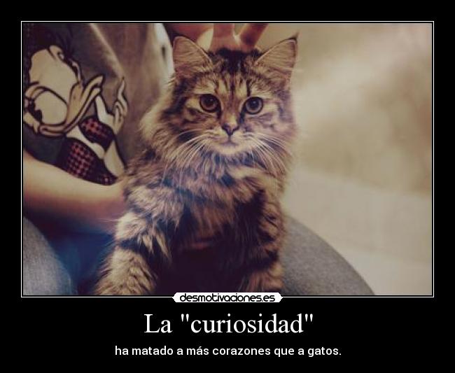La curiosidad - 