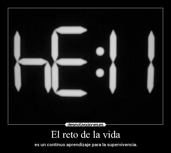 El reto de la vida -