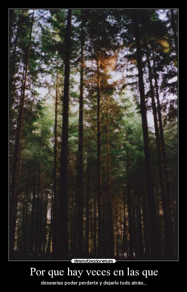 Por que hay veces en las que -