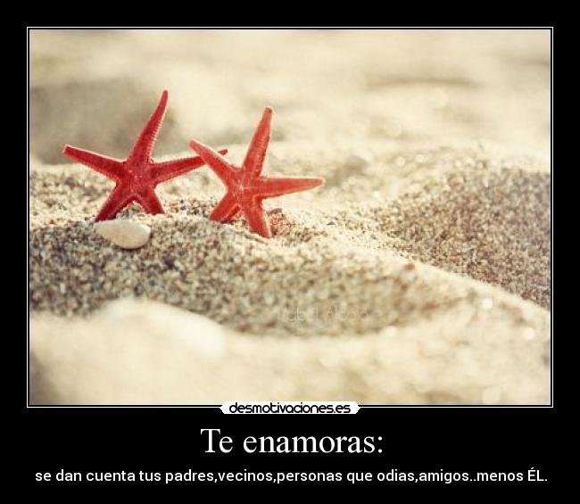 Te enamoras: - se dan cuenta tus padres,vecinos,personas que odias,amigos..menos ÉL.
