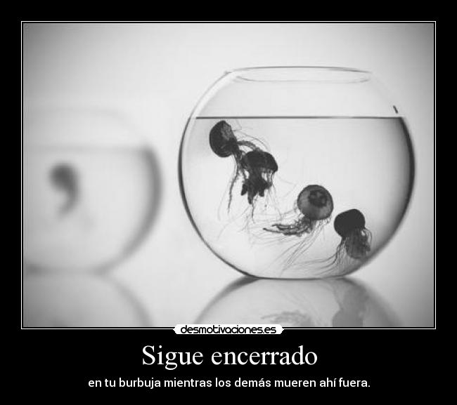 Sigue encerrado - 