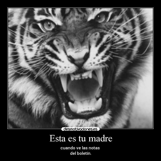 Esta es tu madre - 