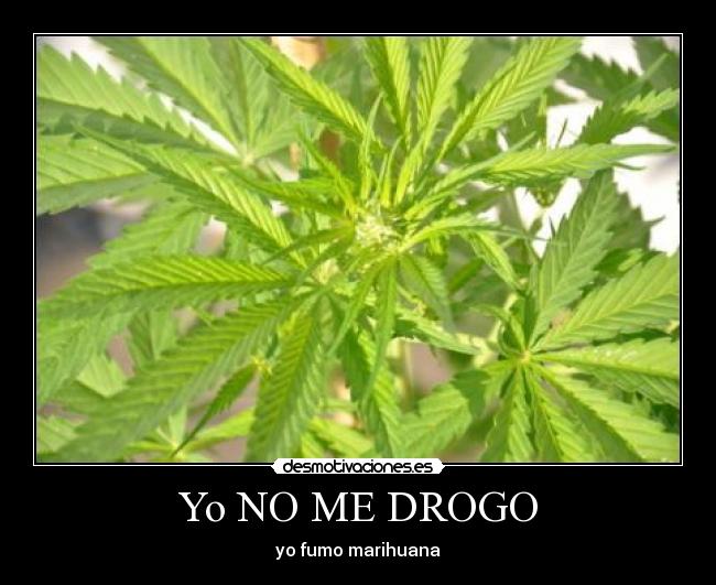 Yo NO ME DROGO - 