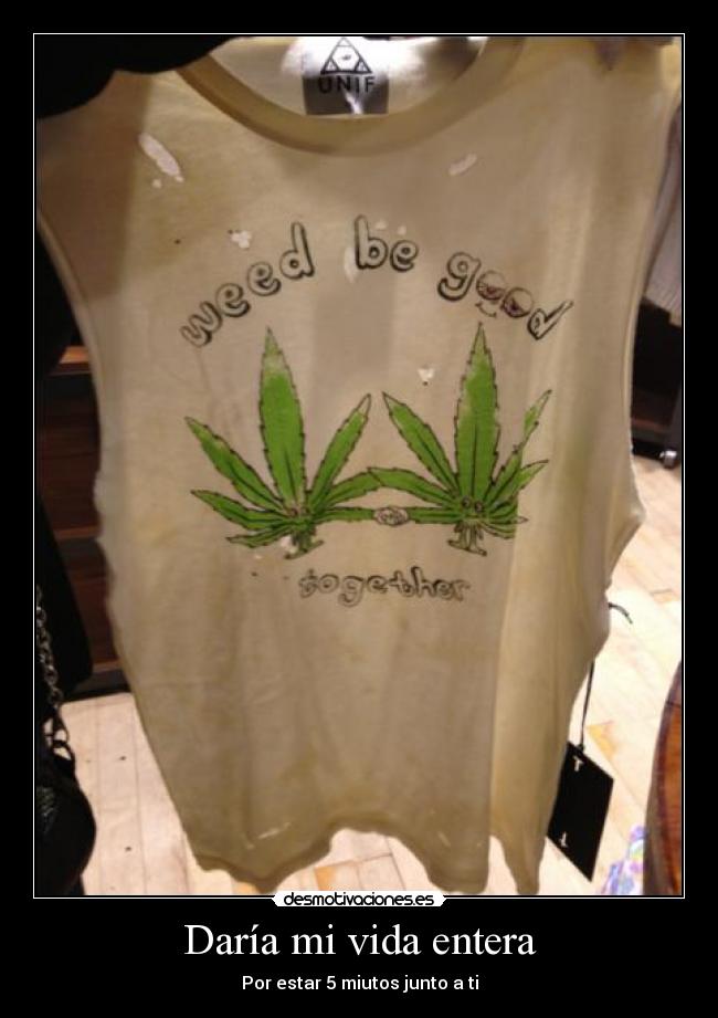 Daría mi vida entera - 