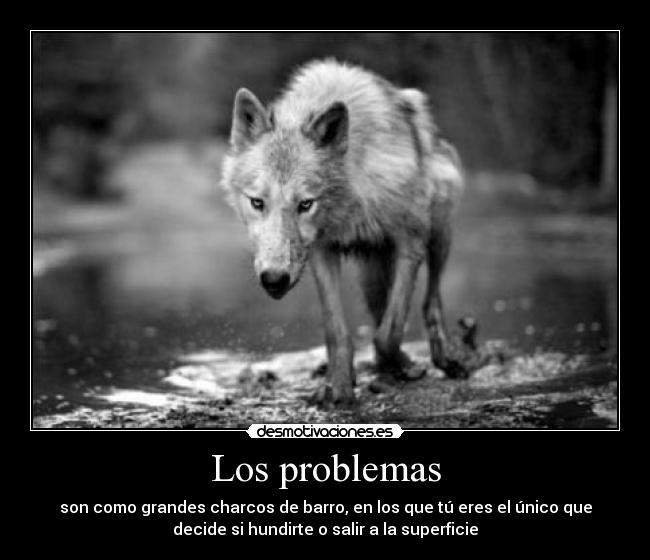 Los problemas - 