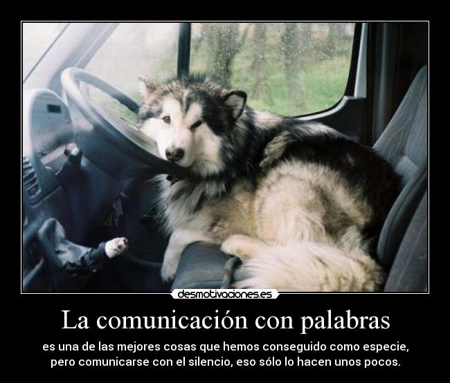 La comunicación con palabras - es una de las mejores cosas que hemos conseguido como especie,
pero comunicarse con el silencio, eso sólo lo hacen unos pocos.