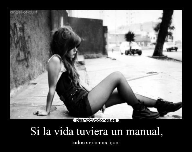 Si la vida tuviera un manual, - 