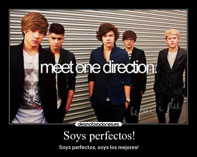 Soys perfectos! - Soys perfectos, soys los mejores!