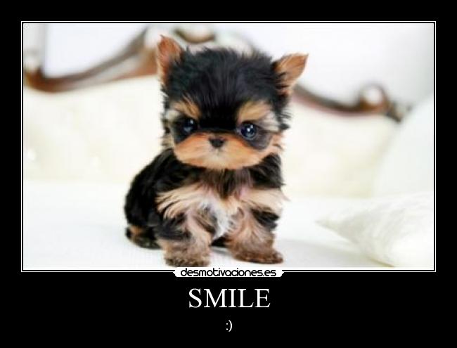 SMILE - :)