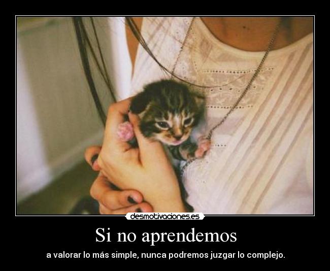 Si no aprendemos -