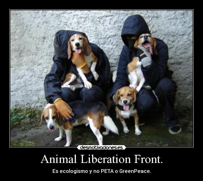 Animal Liberation Front. -