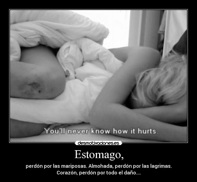 Estomago, - perdón por las mariposas. Almohada, perdón por las lagrimas.
Corazón, perdón por todo el daño....