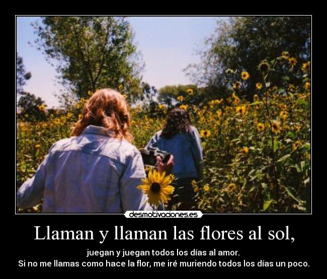 Llaman y llaman las flores al sol, - juegan y juegan todos los días al amor.
Si no me llamas como hace la flor, me iré muriendo todos los días un poco.