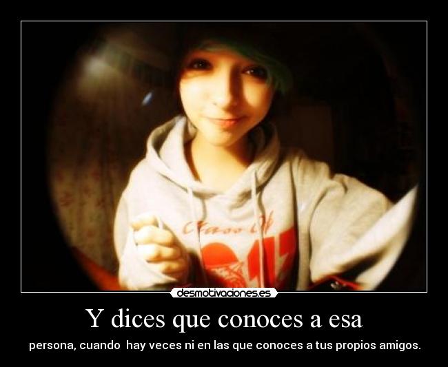 carteles laneys desmotivaciones