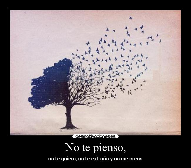 No te pienso, - no te quiero, no te extraño y no me creas.