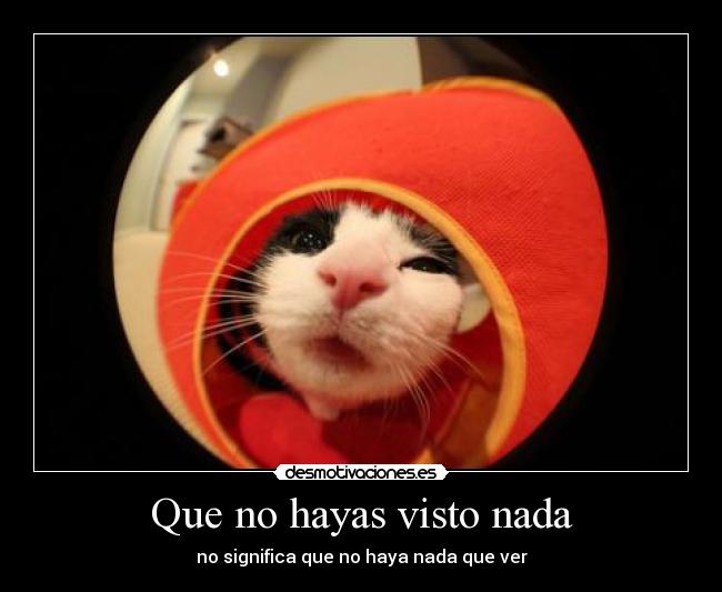 Que no hayas visto nada - no significa que no haya nada que ver