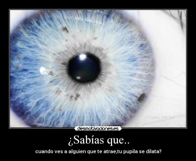 ¿Sabías que.. - cuando ves a alguien que te atrae,tu pupila se dilata?