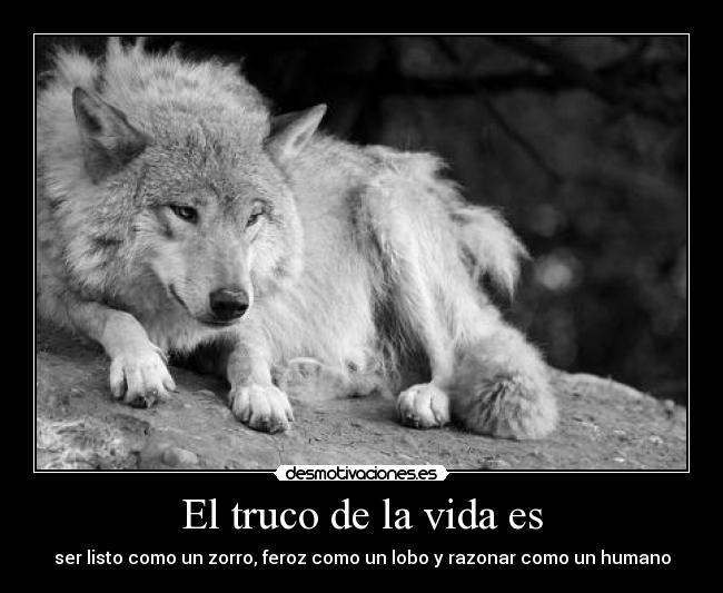 El truco de la vida es - ser listo como un zorro, feroz como un lobo y razonar como un humano