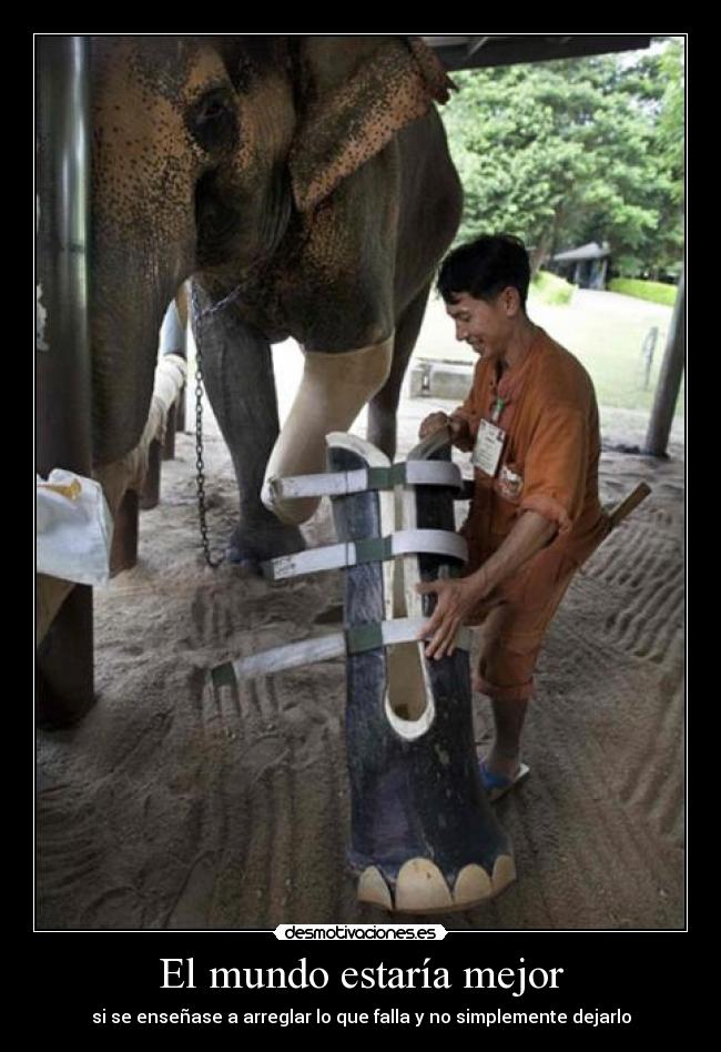 carteles mundo guti19 carne crimen todo ser vivo nacio para ser libre desmotivaciones