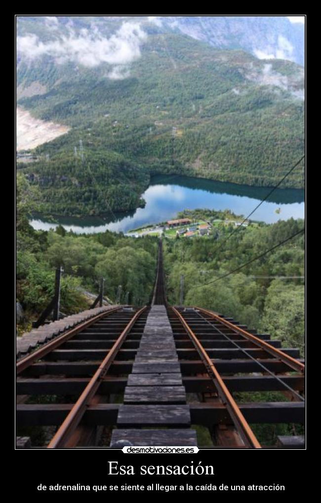 Esa sensación - de adrenalina que se siente al llegar a la caída de una atracción